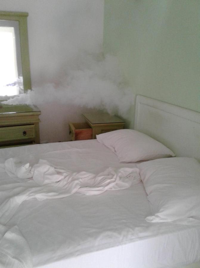 Hotel Quinta Mar Y Selva ชาซาลา ภายนอก รูปภาพ