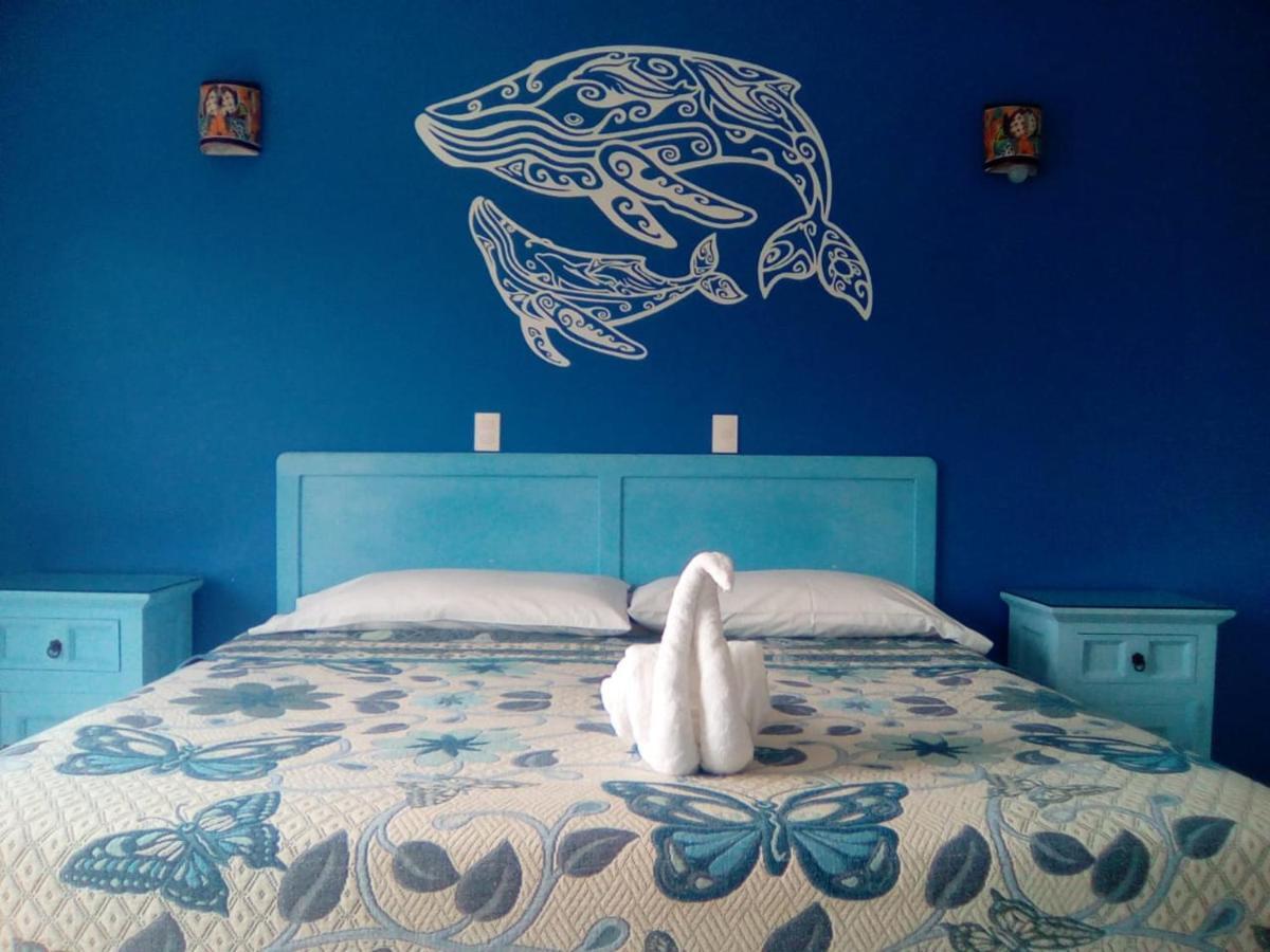 Hotel Quinta Mar Y Selva ชาซาลา ภายนอก รูปภาพ